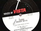 The Beach Boys 1965 Radio Show 24 mins Voices of Vista