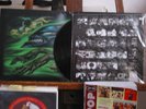 TOOL “AENIMA” CLUBPRESS US`99
