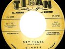 TEEN/ POPCORN- GINGER- TITAN RECORDS- RARE- LISTEN