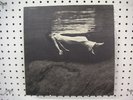 BILL EVANS & JIM HALL UNDERCURRENT UAJ14003(M)