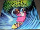 WIZARDS OF WATER LP RARE SURF SOUNDTRACK COLD CHISEL