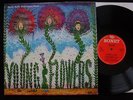 YOUNG FLOWERS Blomsterpistolen Danish PSYCH LP ORIGINAL