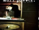 MUFF POTTER - VON WEGEN VINYL LP - NEU & VERSCHWEISST -