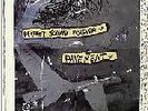 Pavement Perfect Sound Forever 10
