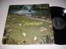 The Flamingos - S/T (Checker) DG Black Label