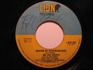 70s Soul 45 WE THE PEOPLE Making My Daydream LION HEAR