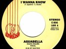 Latin Soul Funk * AGUABELLA * I wanna Know * HEAR MP3