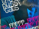 PUSSYCATS*MRRR*1965 NORWAY FREAKBEAT MOD GERMAN LP ?
