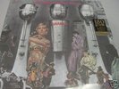 The Siegel-Schwall Band Shake Sealed 180g LP - Blues