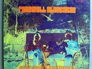 HENSKE/YESTER FAREWELL ALDEBARAN RARE ORIG ACID FOLK LP