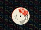 LEE PERRY-WATTY BURNETT-OPEN THE GATE- REGGAE LP