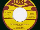 RARE 45 RPM by THE SULTANS on Duke 125