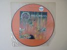 Slayer Hell Awaits Orig Picture LP 1985 Speed Trash M -