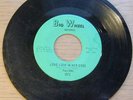 Falcons In Time for the Blues 1971 7
