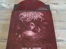 WEAKLING-Dead As Dreams   red vinyl 2-LP
