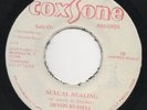 DEVON RUSSELL Sexual Healing JA FUNK/SOUL BREAK LISTEN