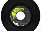 RARE HIERONYMUS & THE DHARMA BUMS 7