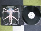 LEEWAY Born To Expire NYHC Cro-Mags Agnostic Front
