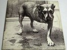 ALICE IN CHAINS - S/T - RARE OOP 1995 2LP 1st U.S. NM