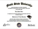 Vinyl Records Diploma - Record Lover Diploma