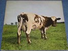 PINK FLOYD - Atom Heart Mother - Orig UK 70 Harvest LP