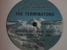 THE TERMINATORS 