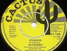 IN CROWD - BORN IN ETHIOPIA - ETHIOPIA -CACTUS 7