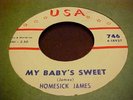 HOMESICK JAMES - USA # 746   