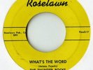 thunder rocks - what's the word - rockabilly surf 45