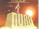 Ray Rodriguez And orchestra Duro - Survival Salsa Lp