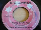 DAVID MCINTOSH / TRYING TO BE NICE BIG THREE Hear ROOTS