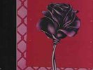 BLACK ROSE  SOUTH AFRICA  METAL LP  LIVE BY IT