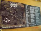 Pungent Stench,Disharmonic Orchestra,Disastrous Murmur