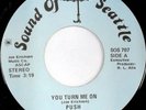 rare Modern Soul 45 PUSH you turn me on Listen