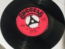 John Holt 'Fat Girl, Sexy Girl' - Success Single