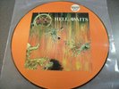 SLAYER Hell Awaits PICTURE DISC lp Vinyl Record LTD ED