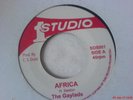 the gaylads  africa  7