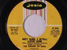SOUND OF SOUL: Hey Girl I Still Love Him 45 Soul
