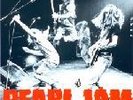Pearl Jam Volcom 7