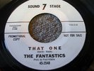 The Fantastics-That One B/W High Note--RARE PROMO 45
