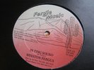 WINSTON FERGUS - IN TING SOUND - FERGIES MUSIC 12