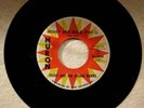 Ohio Garage 45 Teddy & The Rough Riders Money & Gold