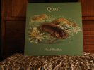 Quasi - Field Studies... UK Pressing... DOMINO records