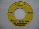 Rare Northern  Soul - Vibrations 'Cause Youre Mine