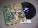 SAVOY BROWN : LOOKING IN (DECCA SKL 5066 STEREO)