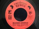 Tena Stelin.War Inna Babylon/Dub.Iration Steppas.HEAR