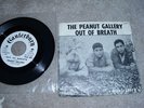 Rare 45 The Peanut Gallery Out Of Breath promo & pic sl