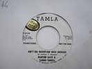 MARVIN GAYE/TAMMI TERRELL-AIN'T NO MOUNTAIN(TAMLA)