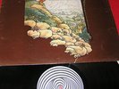 JACKSON HEIGHTS RAGAMUFFINS FOOL RARE SPIRAL VERTIGO LP