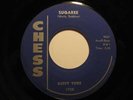 Rockabilly 45 RUSTY YORK Sugaree CHESS HEAR
